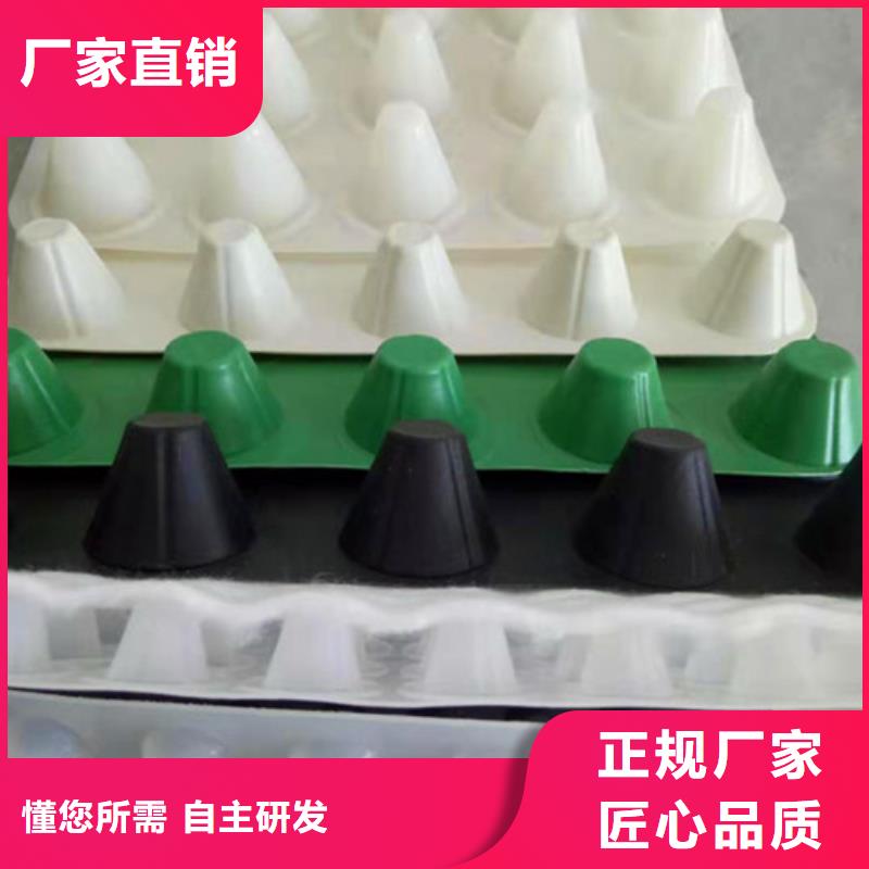 排水板_植草格当日价格