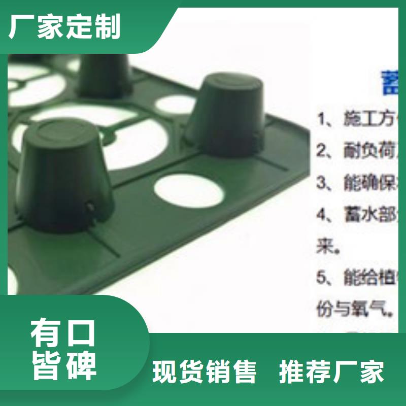 排水板 滤水板的图文介绍