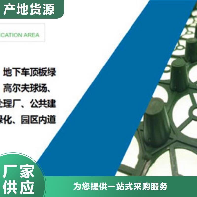 排水板滤水板快速报价