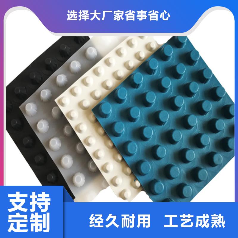 排水板 植草格用心做好每一件产品