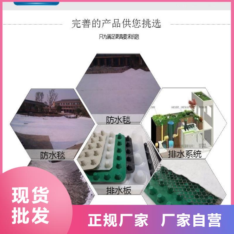 排水板塑料排水板诚信商家服务热情