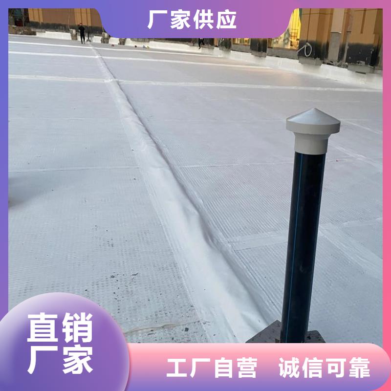 排水板土工格栅实力商家供货稳定