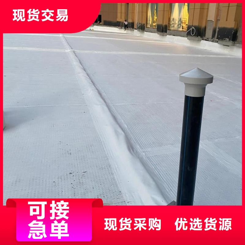 排水板,塑料排水板值得信赖