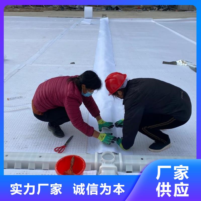 排水板 土工格栅精心选材