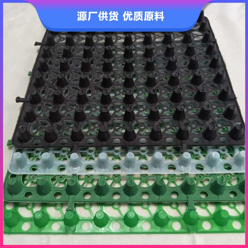 新闻：高分子防护排水异形片—价格资讯