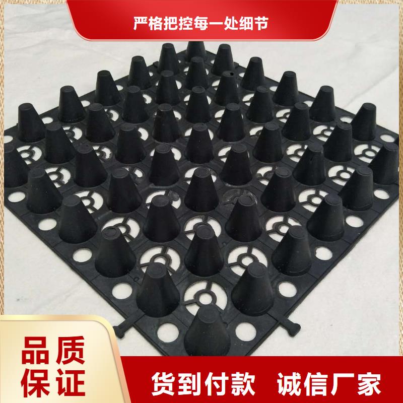 排水板,滤水板实力雄厚品质保障