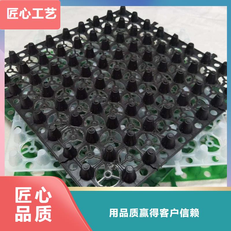 【排水板】土工格栅买的放心安兴用的舒心
