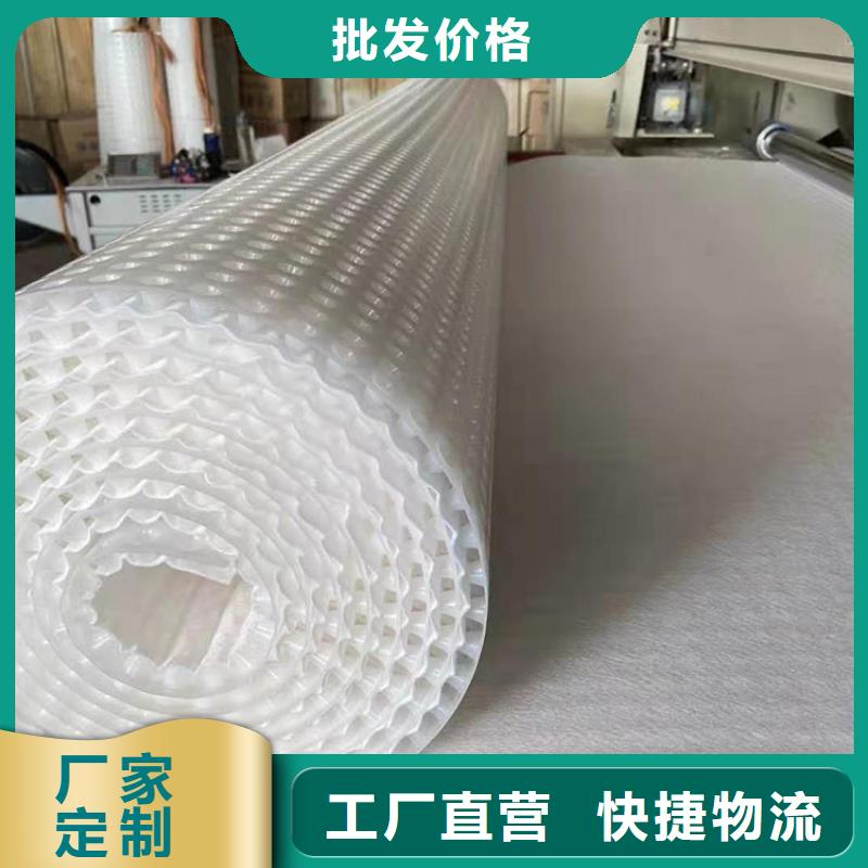 新闻:高分子防护排水异形片—价格资讯