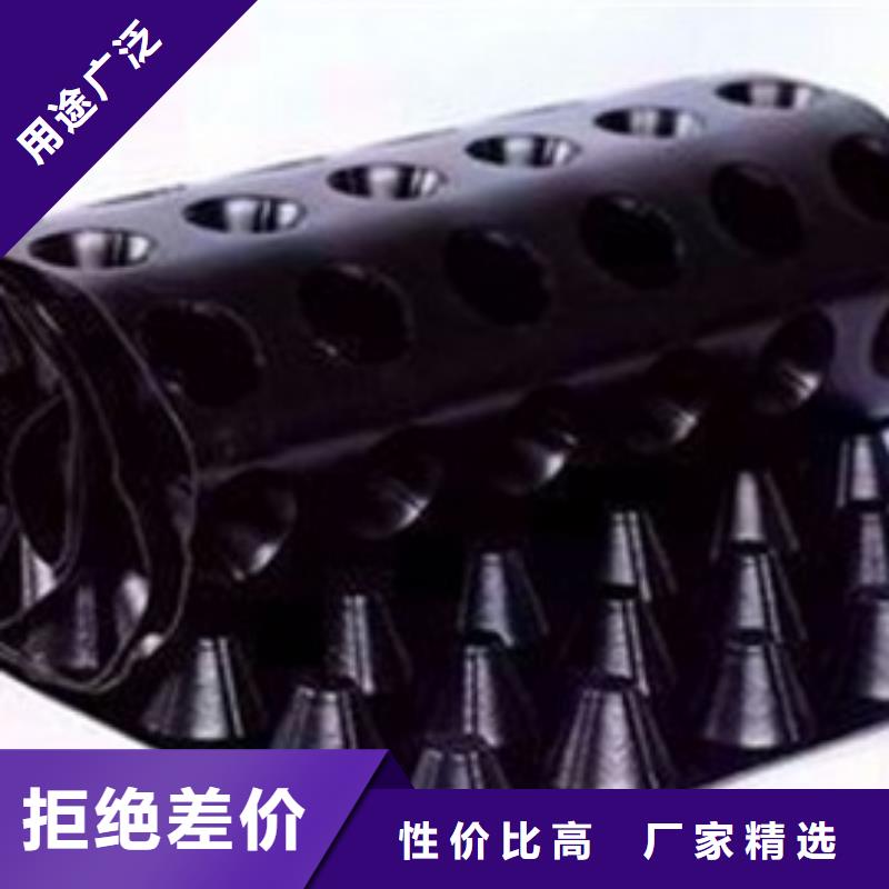 排水板塑料排水板有实力有经验