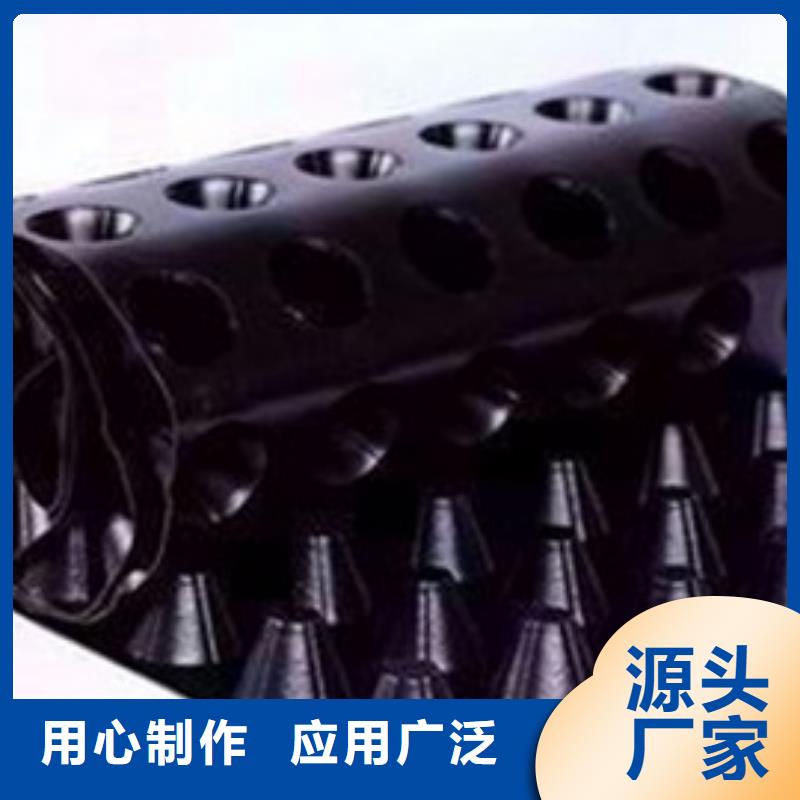 排水板土工格栅好产品不怕比