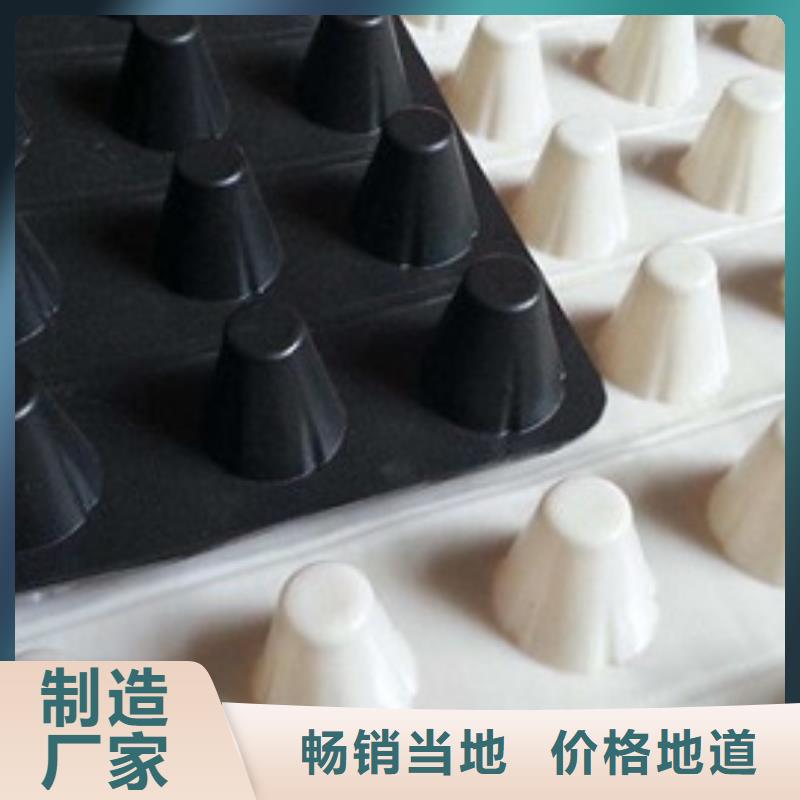 排水板土工膜产地厂家直销