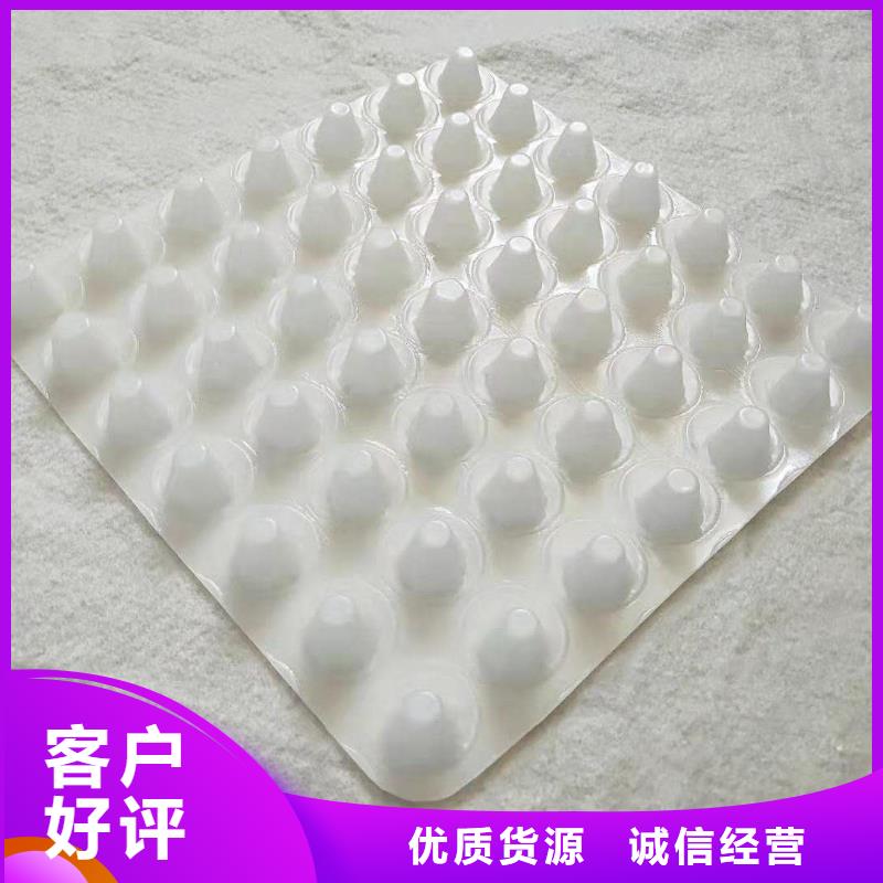 排水板土工格栅实力商家供货稳定