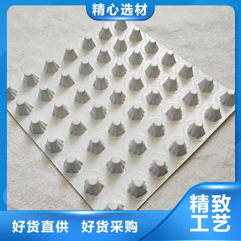 排水板,滤水板实力雄厚品质保障