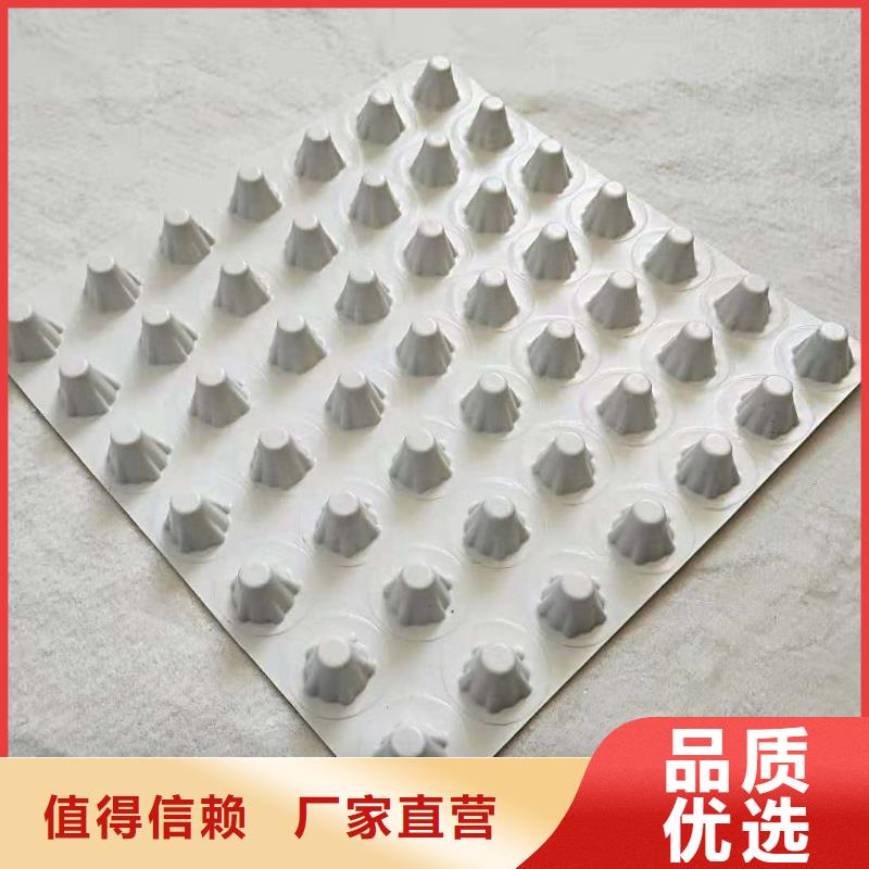 排水板 土工格栅品质可靠