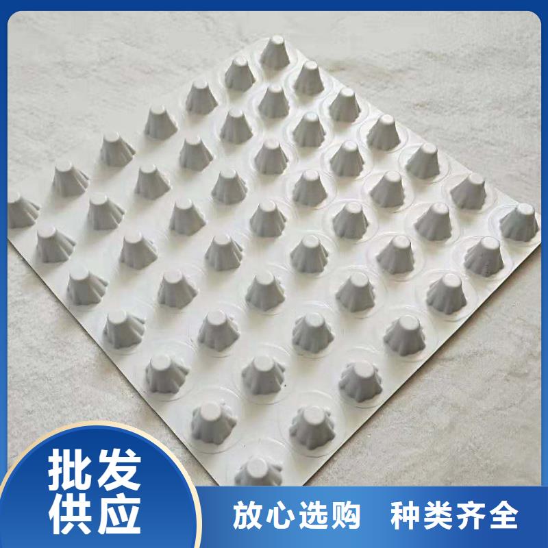 排水板滤水板快速报价