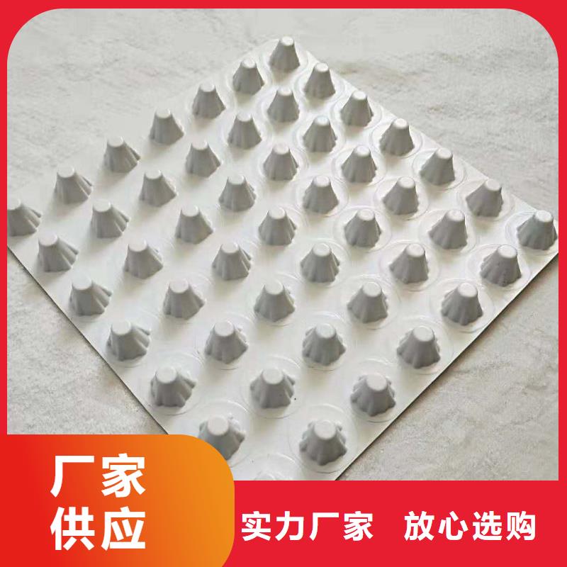 排水板 蓄水板好产品价格低
