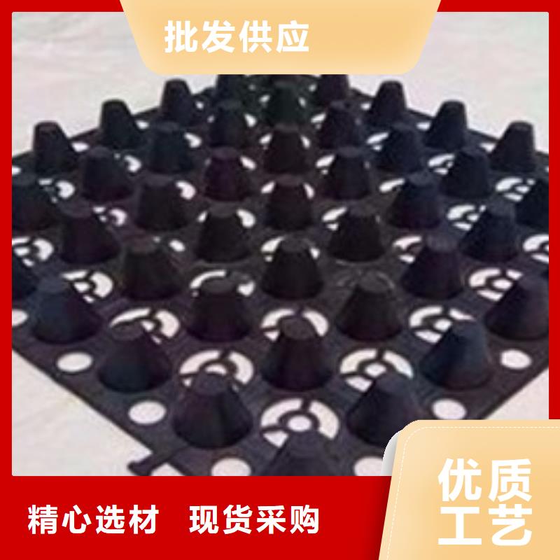 排水板三维植被网好货直供