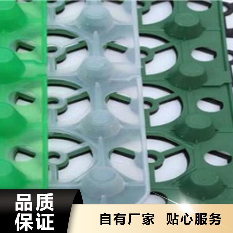 排水板防水毯畅销本地