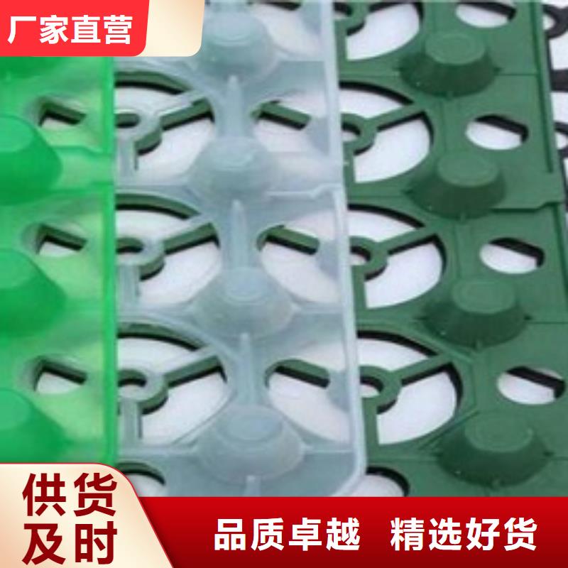 新闻：高分子防护排水异形片—价格资讯