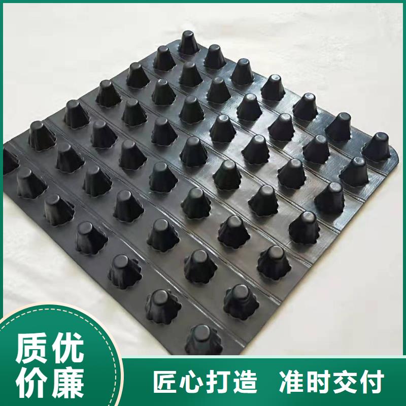 排水板塑料排水板品类齐全