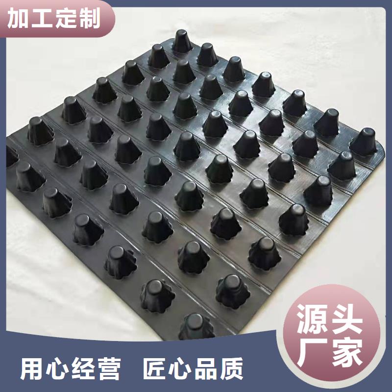 排水板塑料排水板诚信商家服务热情
