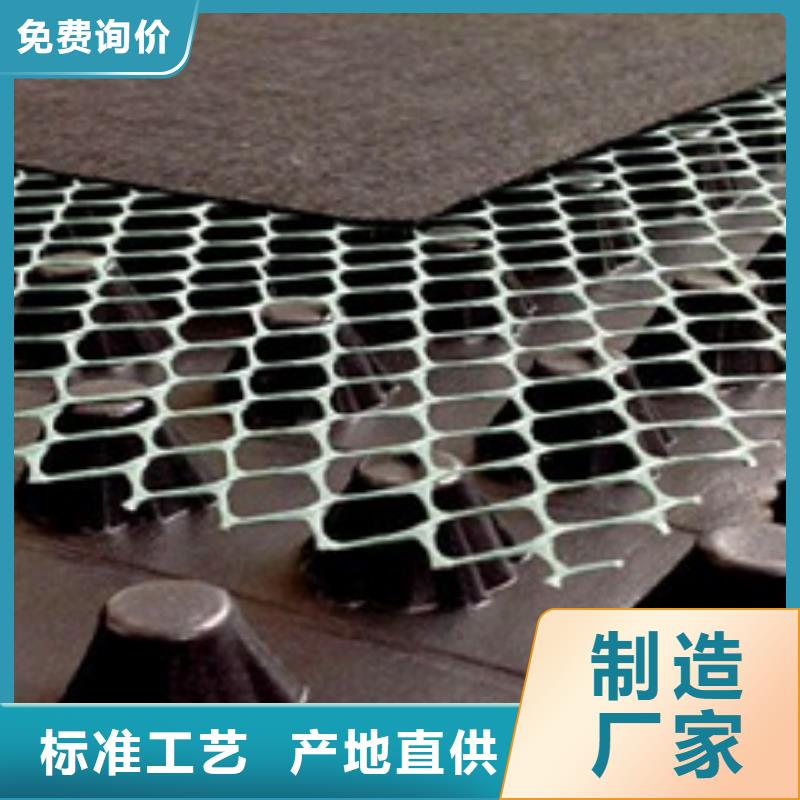 排水板 土工格栅品质可靠