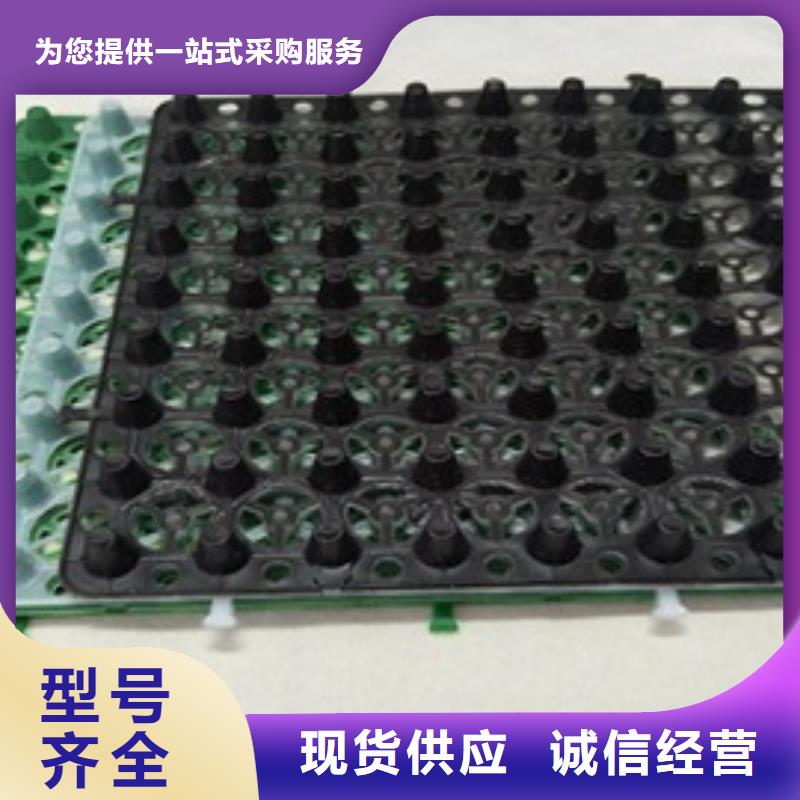 排水板 滤水板的图文介绍