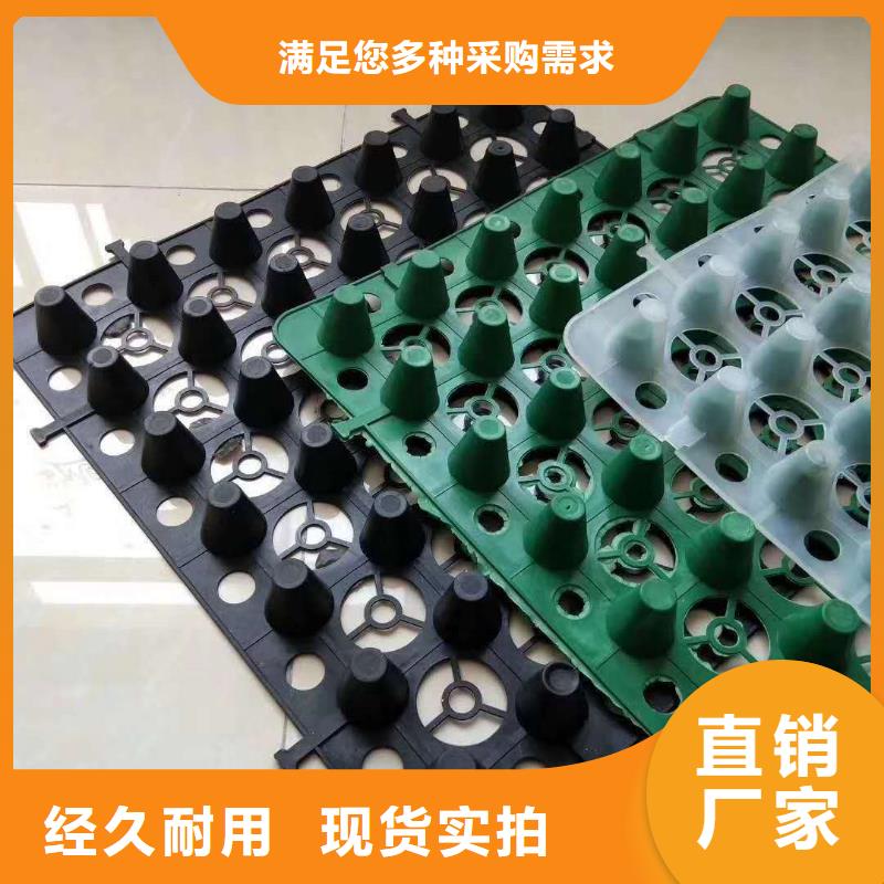 排水板,塑料排水板值得信赖