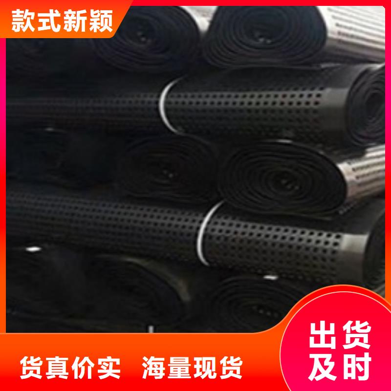 排水板土工格栅实力商家供货稳定