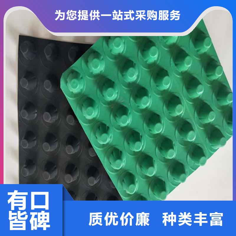 排水板 土工格栅精心选材