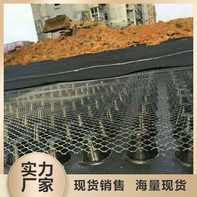 排水板滤水板品质保障价格合理
