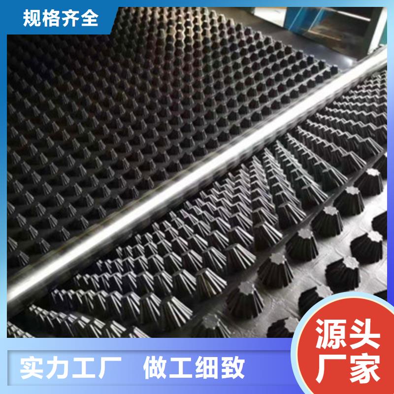 排水板专业生产品质保证