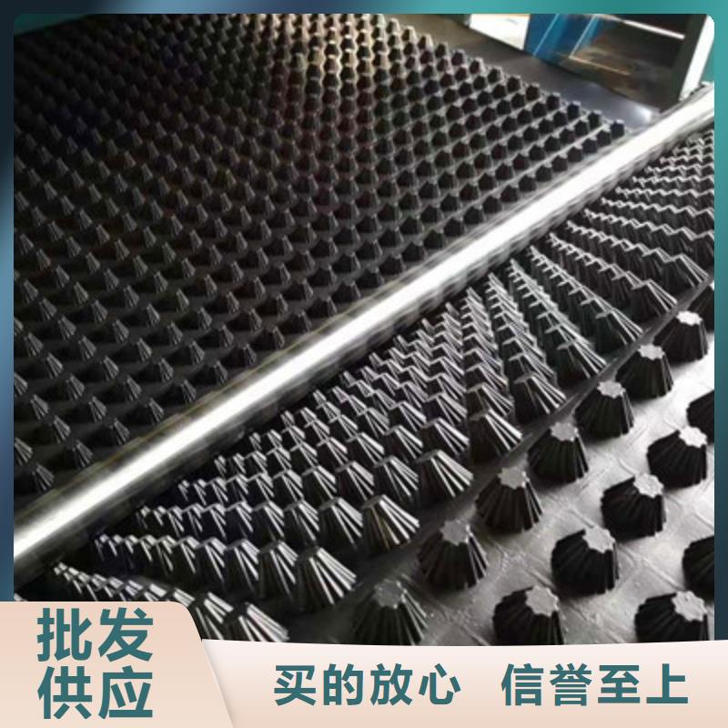 排水板 蓄水板好产品价格低