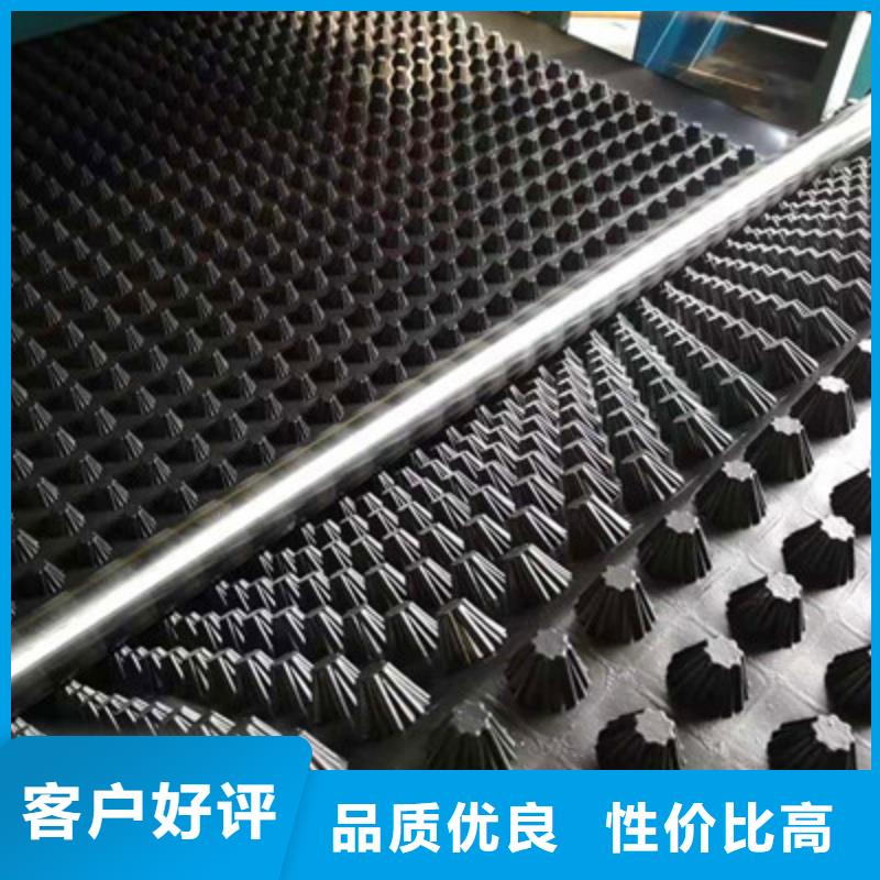 排水板塑料排水板有实力有经验