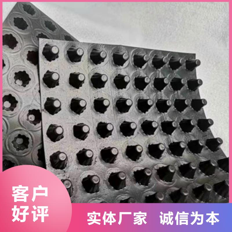 排水板土工格栅实力商家供货稳定