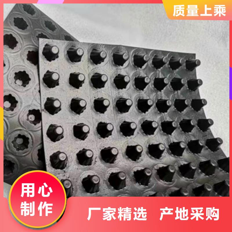 排水板 蓄水板好产品价格低