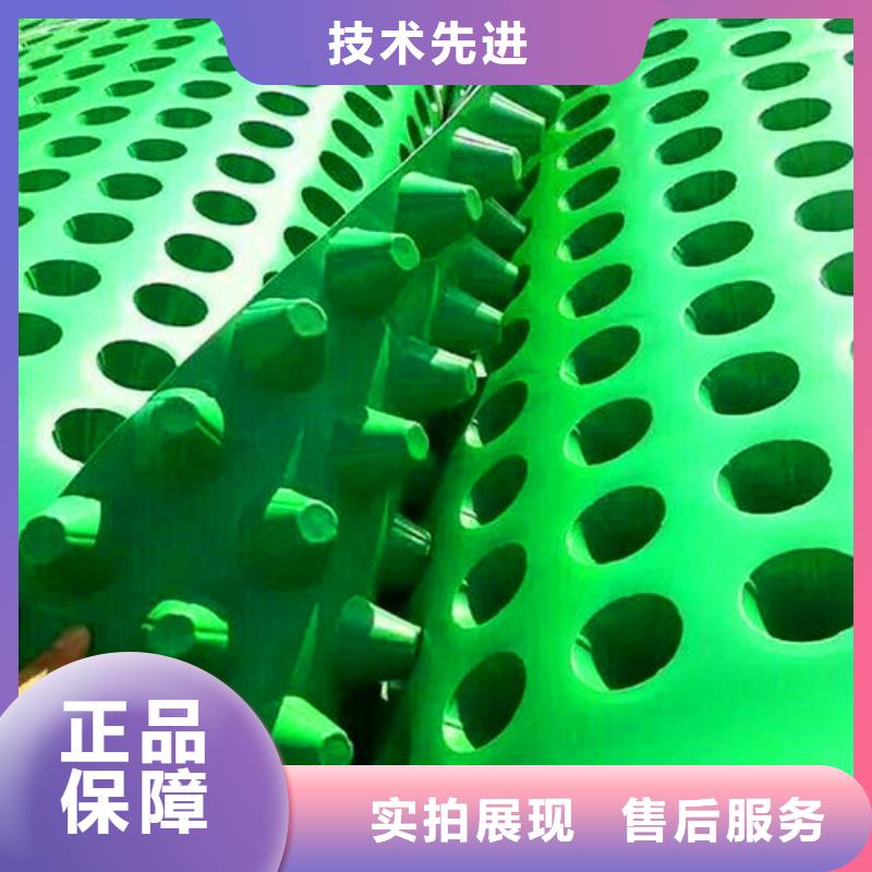 排水板塑料排水板有实力有经验