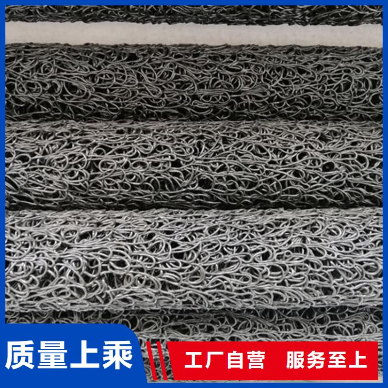 塑料盲沟三维植被网实力大厂家