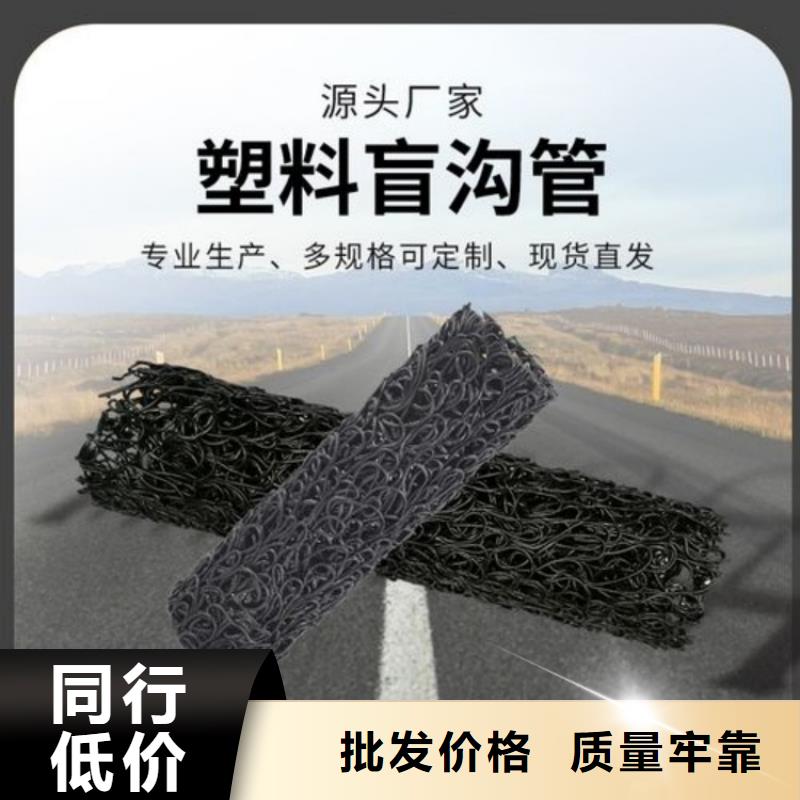 塑料盲沟塑料排水板讲信誉保质量