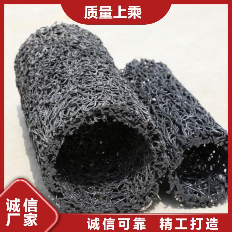 塑料盲沟土工格栅研发生产销售