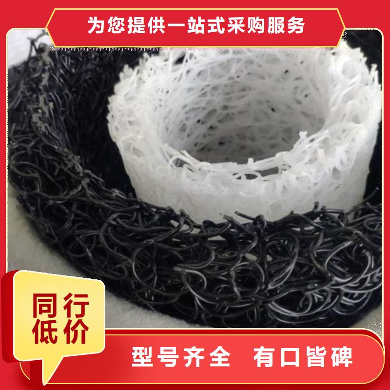 塑料盲沟 排水板精工细致打造