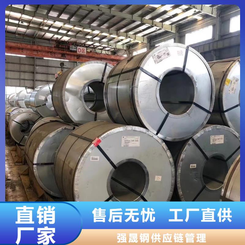 硅钢硅钢B35P135、WSS-M1A365-A13优质货源