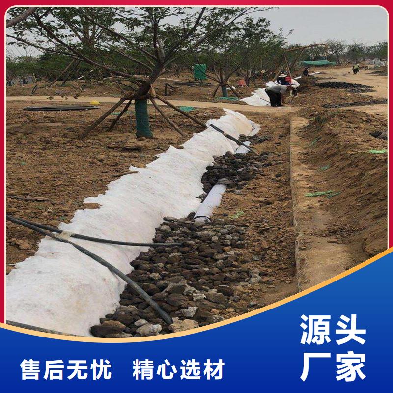 渗排水网垫终身质保价格