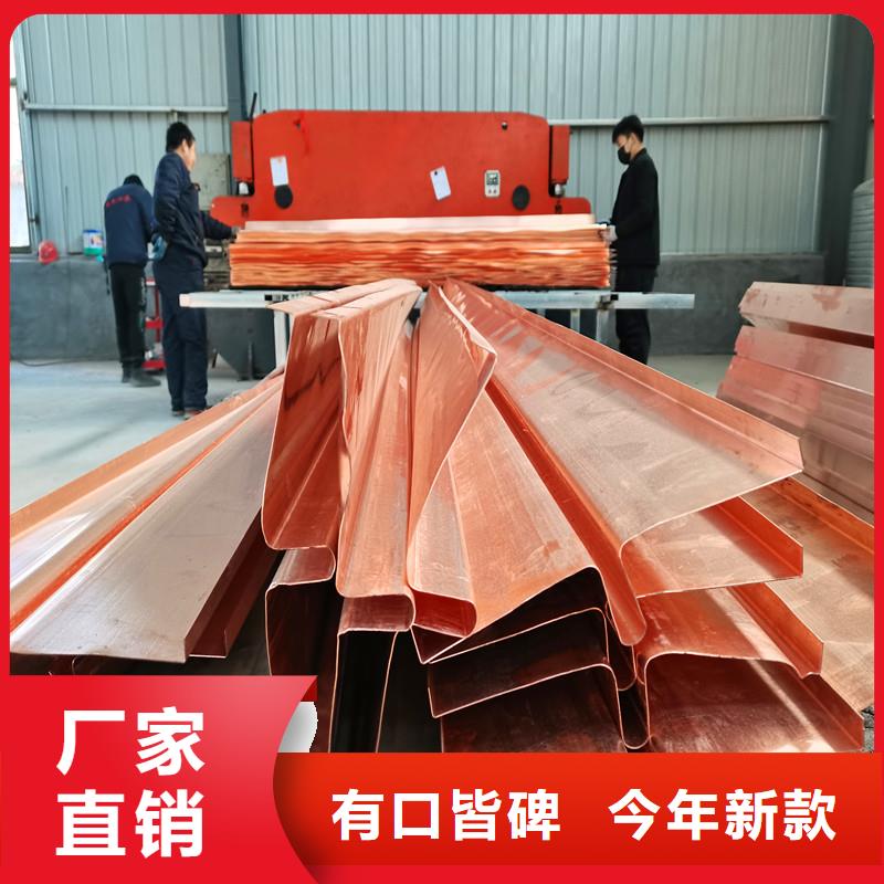 水闸止水铜片实体大厂