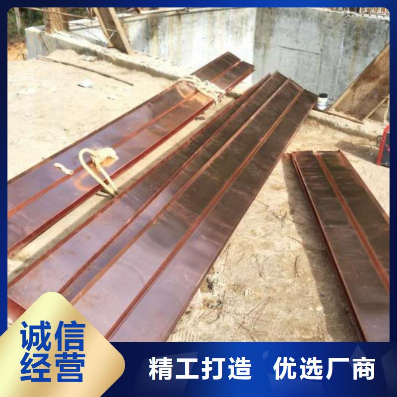 W型止水铜片厂家