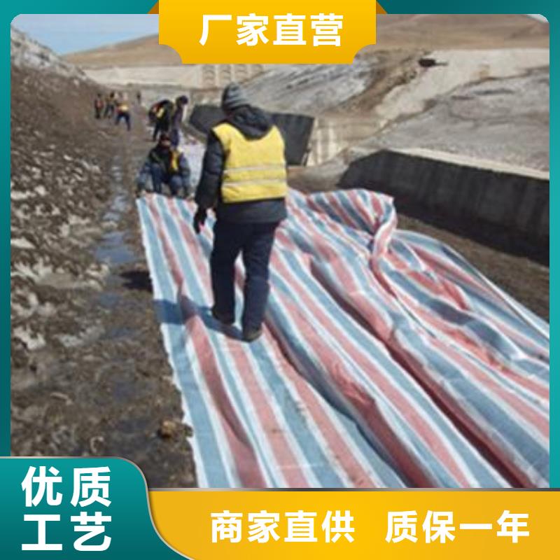 彩条布绿化无纺布源头厂家