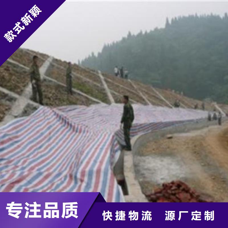 彩条布彩条篷布厂家加工定制