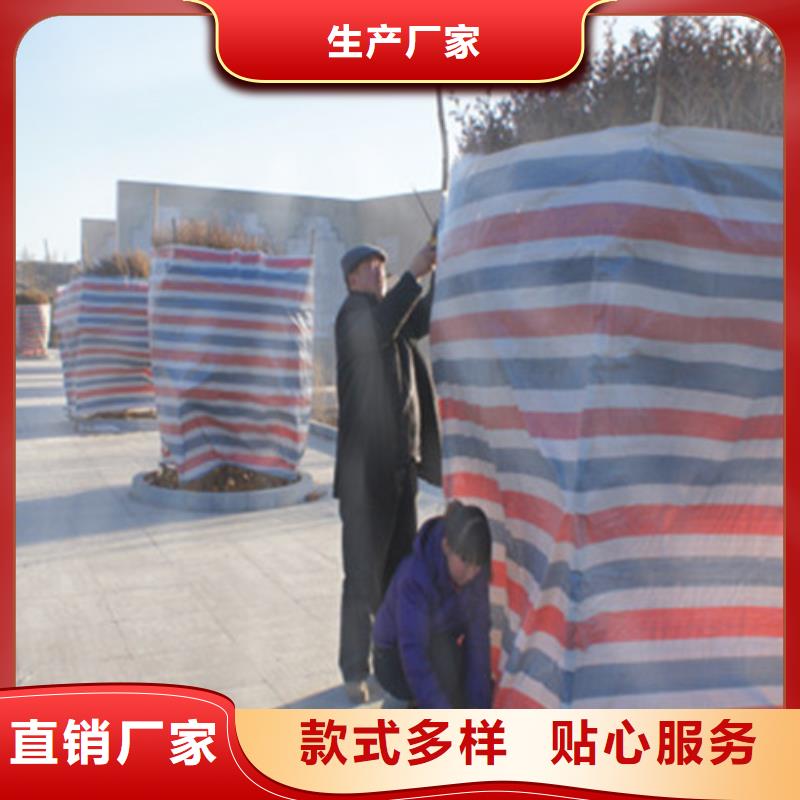 新料彩条布下单即发货