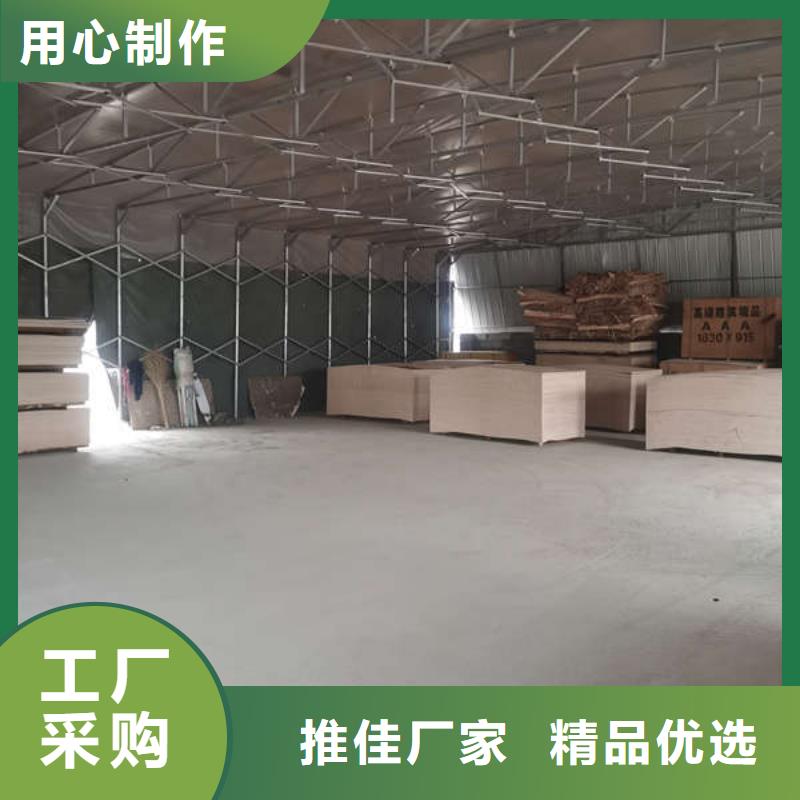 电动遮阳棚诚信厂家