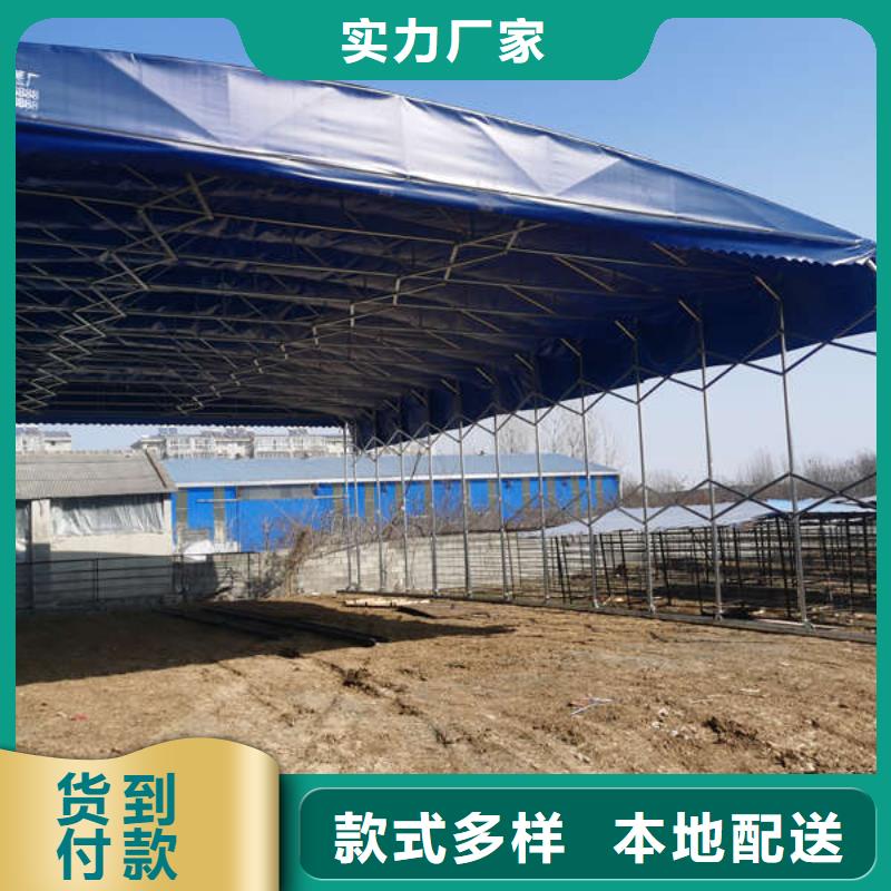 电动帐篷实体厂家